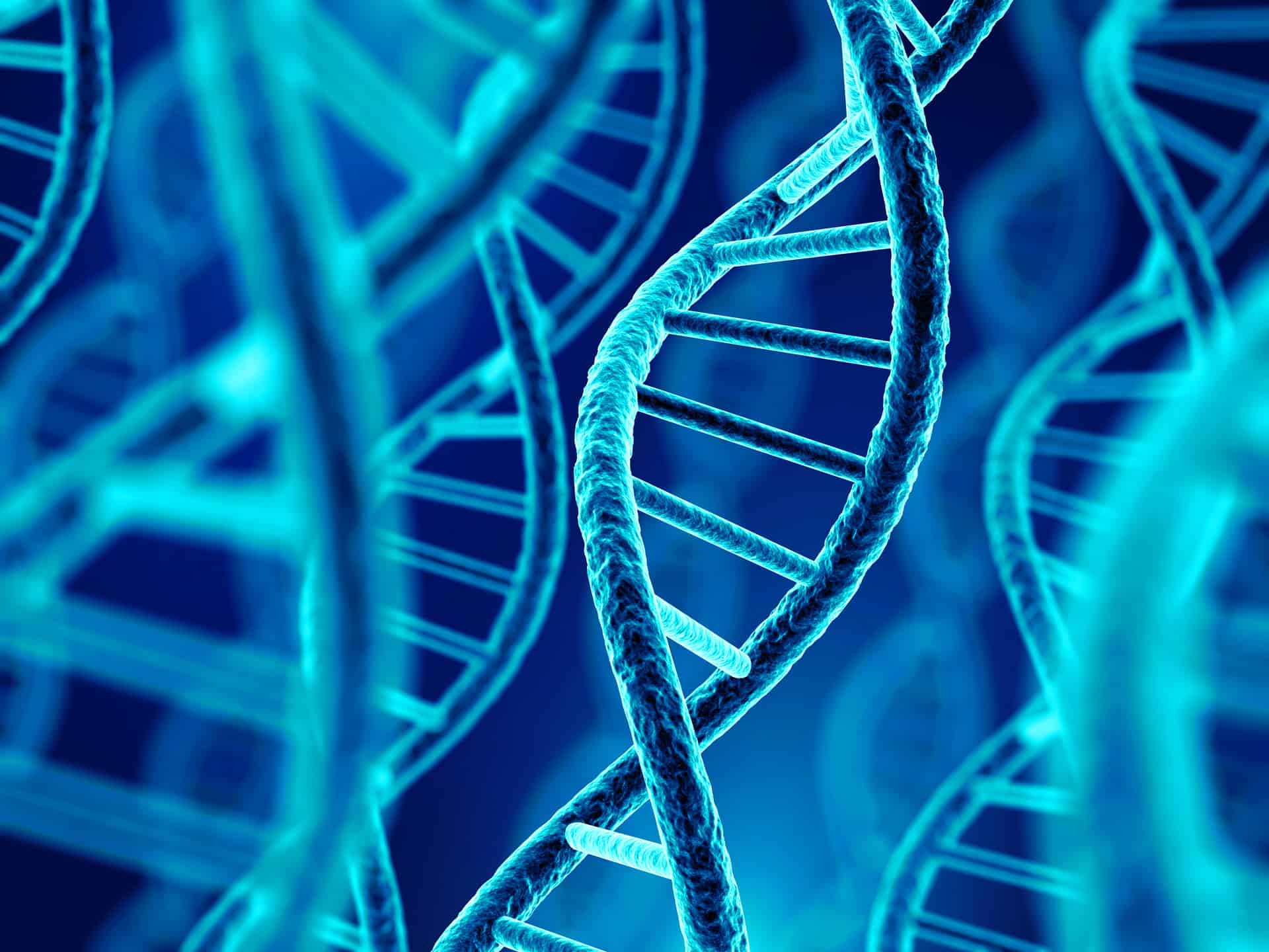 It’s All in Your Genes – How Changes in Your Epigenetics Can Affect Your Health!