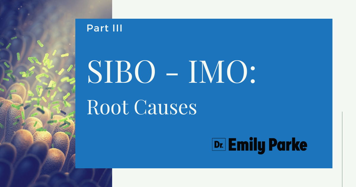 SIBO vs. IMO Part III: Root Causes